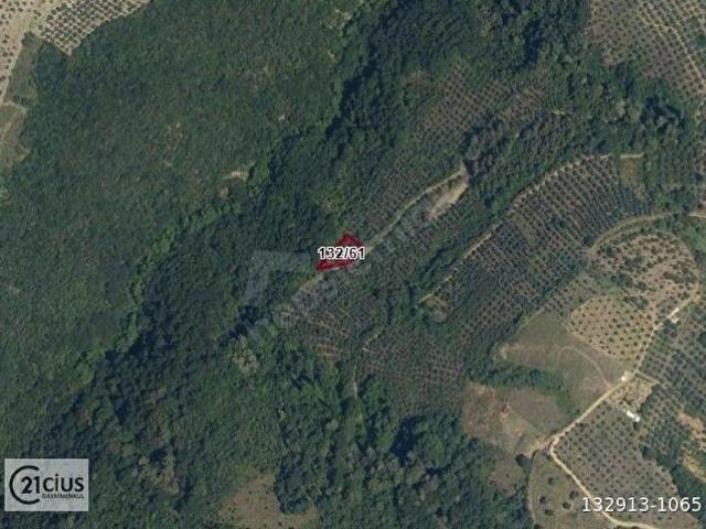 C21 Cius  Gemlik Güvenlide Doğa İçinde 472 M Zeytinlik