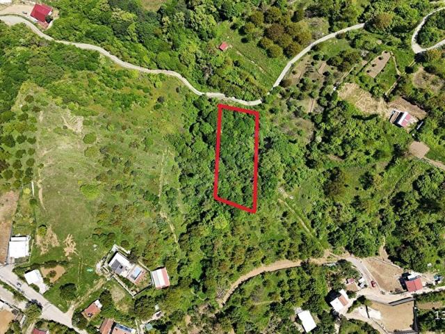 C21 Cius  Gemlik Güvenlide Köy Gelişme Alanında Konut İmarlı Arsa