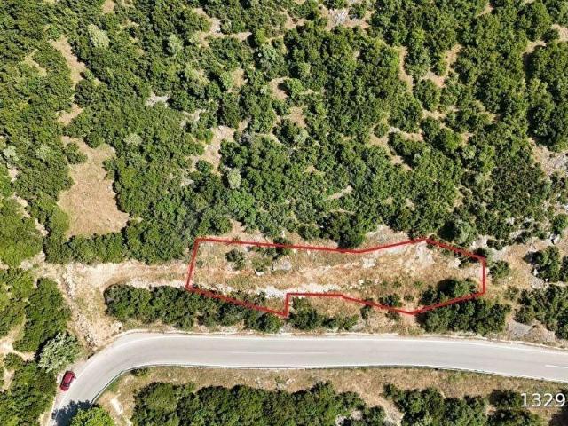 C21Cius  Şahinyurdu'nda Asfalt Yola Cepheli 626 m2 Manzaralı Arazi