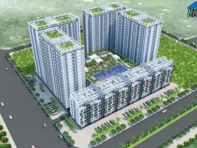 Cần Cho Thuê 4 Căn Nhà Tại Thành Phố Bắc Ninh