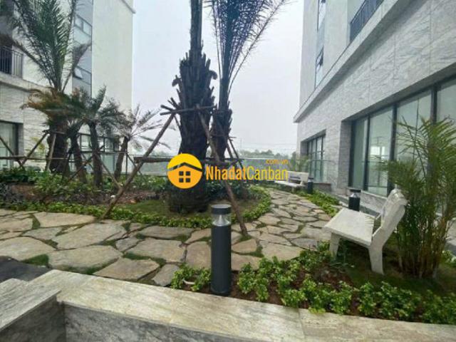 Cần b á n gấp shophouse chungcư phườnghoàngliệt 69.5m2, đang cho thuê 20trtháng, chỉ 3.3 tỷ