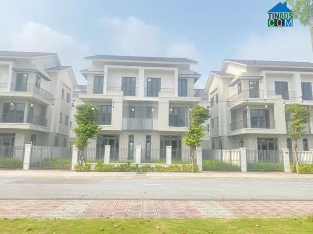 Cần bán gấp biệt thự song lập đối diện công viên tại dự án centa riverside Từ Sơn
