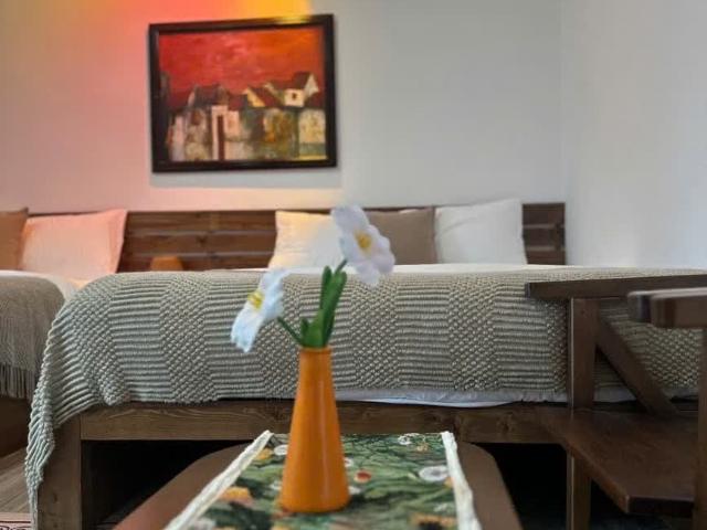 Cần Bán Homestay 3 Tầng – Kiệt Nguyễn Văn Thoại – Gần Biển Mỹ Khê – Kinh Doanh Đỉnh 17,3 Tỷ