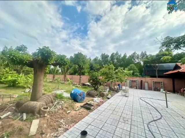 Cần bán khu vườn nghĩ dưỡng, giá: 3. TỶ. 2 dt: 1.127m2 hơn 1. Xào sổ hồng