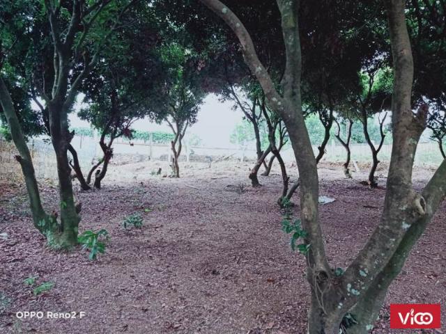 Cần bán lô đất 2400m2 tại Xã Hòa Sơn, Lương Sơn, Hòa Bình, giá tốt