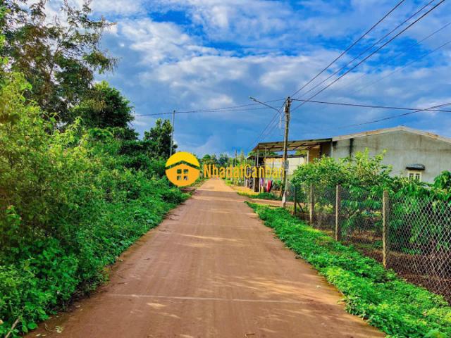 Cần bán đất biển hồ pleiku 395 triệu