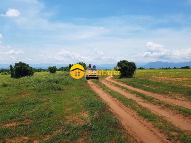 Cần bán đất hoà thắng gần kdl bàu trắng giá rẻ mùa dịch chỉ 130km2 tặng đến 10 chỉ lh 0938677