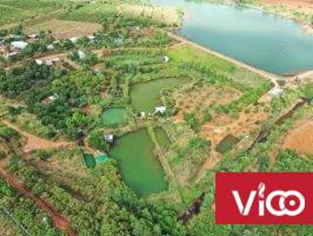 Cần Bán Đất Mặt Tiền Đường vị Trí Đẹp Tại Tỉnh Gia Lai