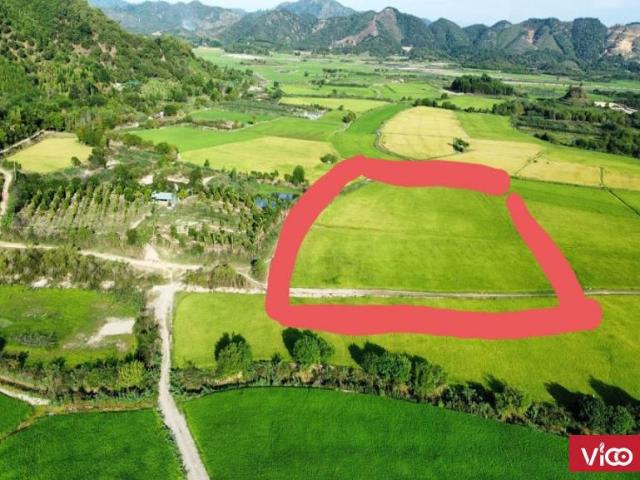 Cần Bán Đất Nông Nghiệp Bám Đường Liên Xã 90m Tại Đ. DH90, Cát Tiên, Lâm Đồng