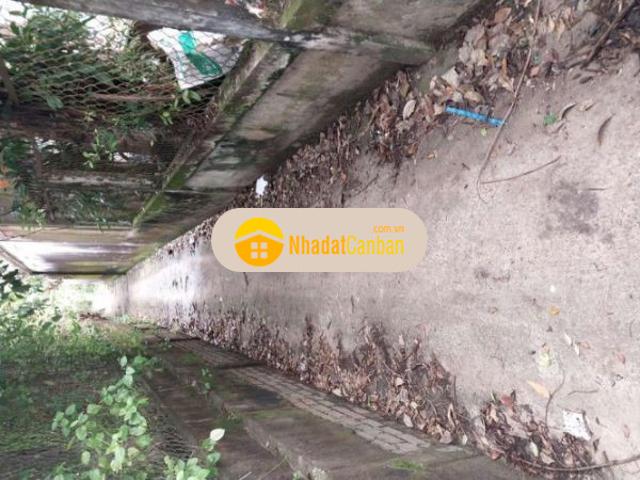 Cần bán đất phú hưng