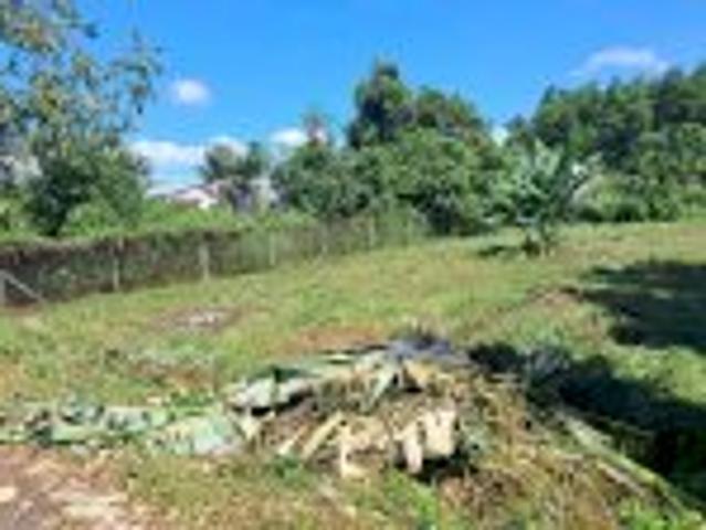 Cần Bán Đất Tại Trung Tâm Thị Trấn Đất Đỏ, Huyện Đất Đỏ, Bà Rịa Vũng Tàu Nay Thuộc Thành Phố Hồ Chí Minh