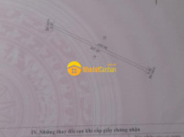 Cần bán đất trồng lúa ở ba tri bến tre