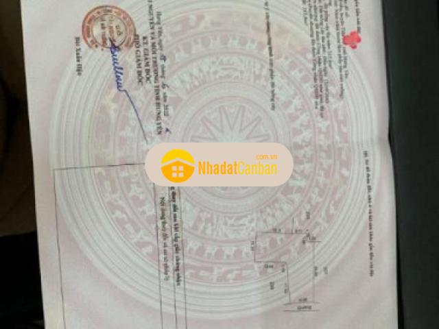 Cần bán đất trồng xóm vị trí đẹp