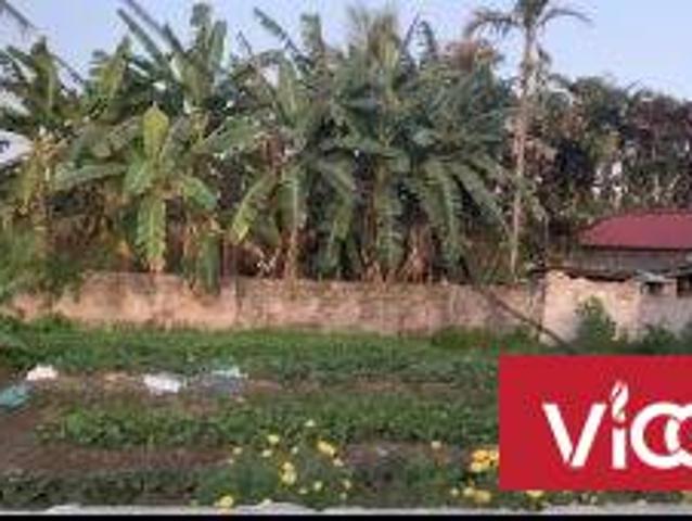 Cần bán đất vị trí đẹp giá rẻ hấp dẫn tại Hải Phòng