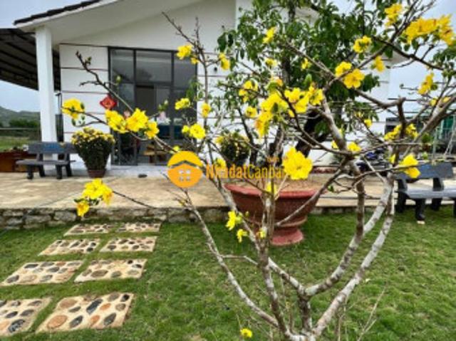 Cần bán trang trại familyfarm diên đồng diên khánh hoà