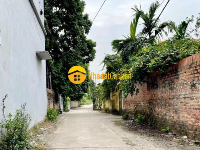 Cần bán 1000m đất tại lạc đạo, văn lâm, ô tô vào thoải mái lh 0835459