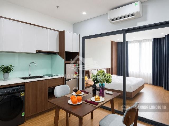 Modern 1 Bedroom Apartment Near the Beach in An Thuong Area C886