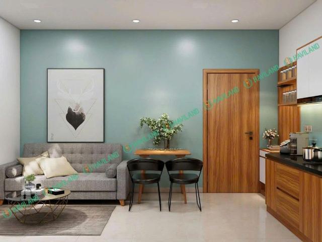 APARTMENT FOR RENT NEWLY BUILT 1 BEDROOM APARTMENT IN KHUE MY AREA QUIET LOCATION