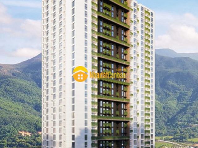 Căn hộ chung cư calla quy nhơn chỉ từ 1,1 tỷcăn view biển