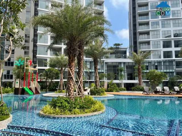 Căn Hộ Diamond Centery Celadon City Tân Phú Giỏ Hàng Cđt + CK 17%