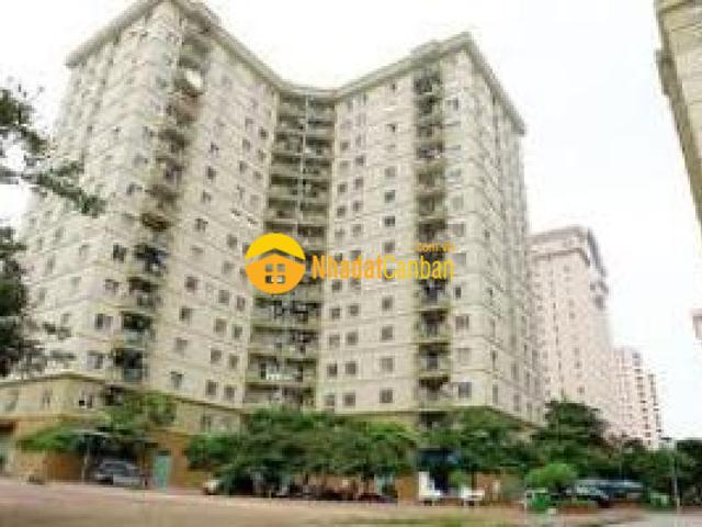 Căn hộ hiệp tân 60m2, 2 wc có sổ chỉ nhỉnh 2 tỷ