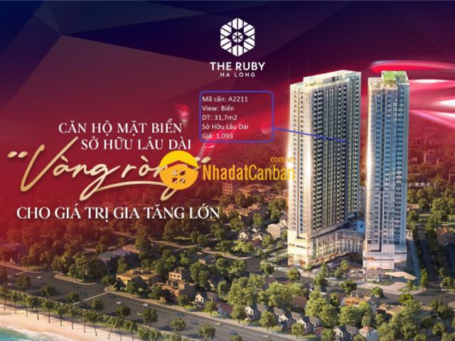 Căn hộ studio nghỉ dưỡng, đâu tư homestay ck 16