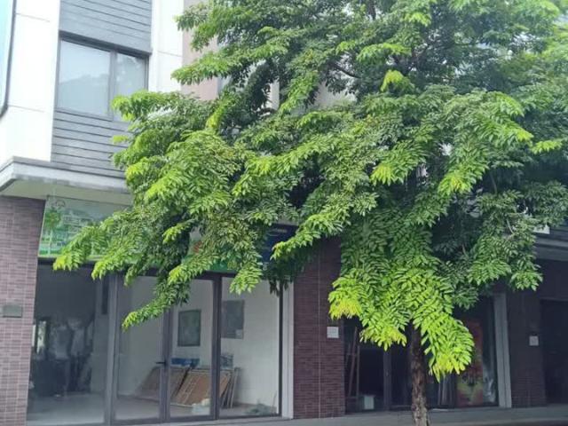 Căn shophouse mặt ngoài trục chính đường Hữu Nghị