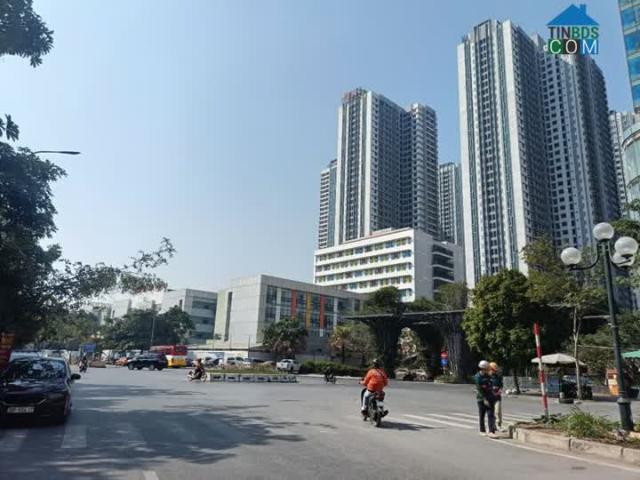Cực hiếm, Hồ Tùng Mậu 45m2 vỉa hè kinh doanh, ô tô tránh, giá 7,88 tỷ