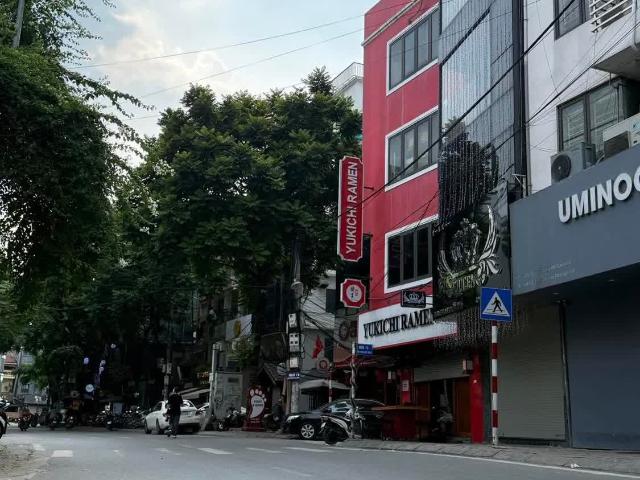 CỰC HIẾM nhà phố Phan Kế Bính, kinh doanh đỉnh lô góc 45m2 CHỈ 19T