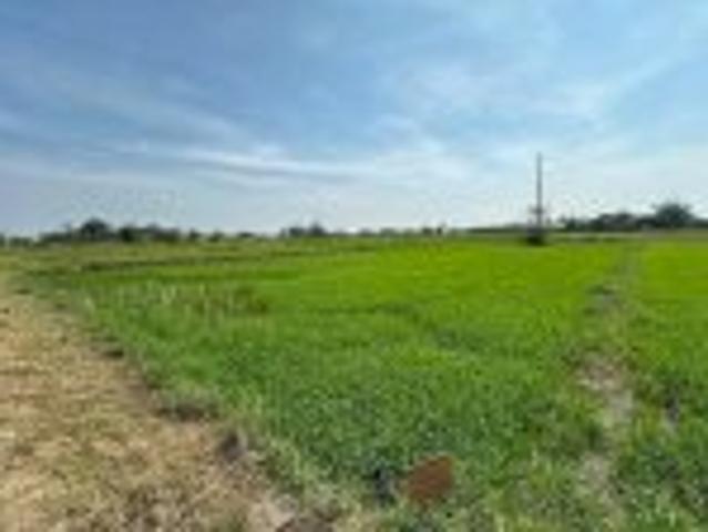 Cơ Hội Đầu Tư Giá Tốt Chính Chủ Bán Gấp Lô Đất Trồng Lúa Xã Bình Thành, Đức Huệ, Long An