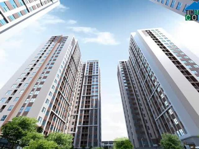Cơ Hội Vàng Sở Hữu Căn Hộ Thiết Kế Chuẩn Nhật Seaview Tower Với Giá 1.2x Tỷ