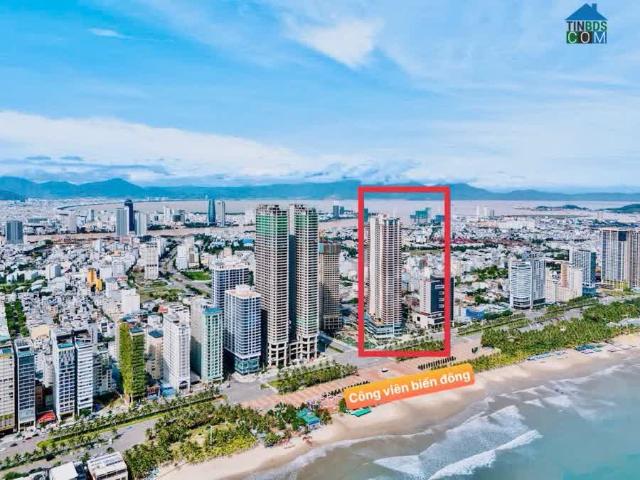 Cơ hội độc quyền cho nhà đầu tư sở hữu căn studio ngay mặt biển Mỹ Khê
