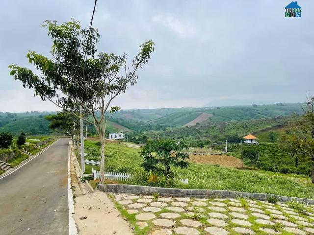 Cơ hội hiếm có! Sở hữu lô đất đẹp với giá cực tốt NaLi Chill Homestay and BBQ