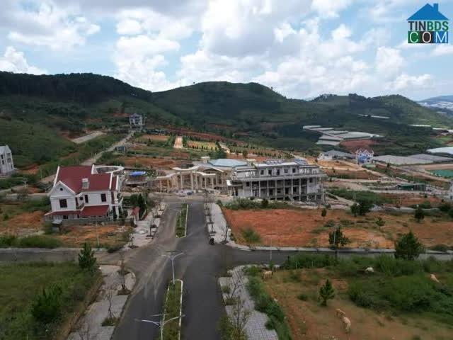 Cơ hội sở hữu Biệt Thự Đà Lạt Cắt Lỗ chờ chủ nhân mới. 0869189