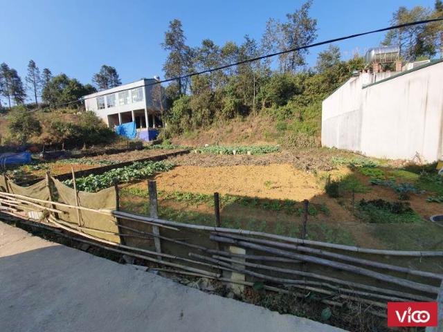Cắt lỗ mảnh đất 250m2 vị trí trung tâm SAPA cho các nhà đầu tư