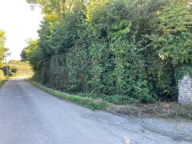 c. 19.5 Acre Site SPP at Cubslough, Killinick, Wexford
