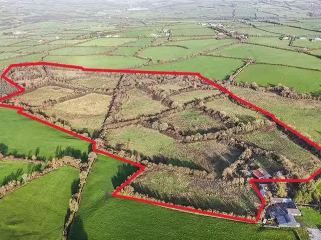 c. 23.33 hectares at Muckalee, Ballyfoyle, Co. Kilkenny, R95 H.