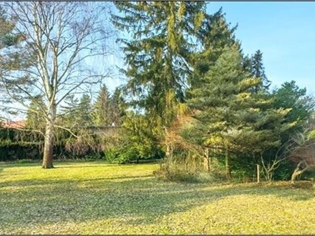 Ca. 674 qm qm Sonnengrundstück mit Einfamilienhaus zum Modernisieren