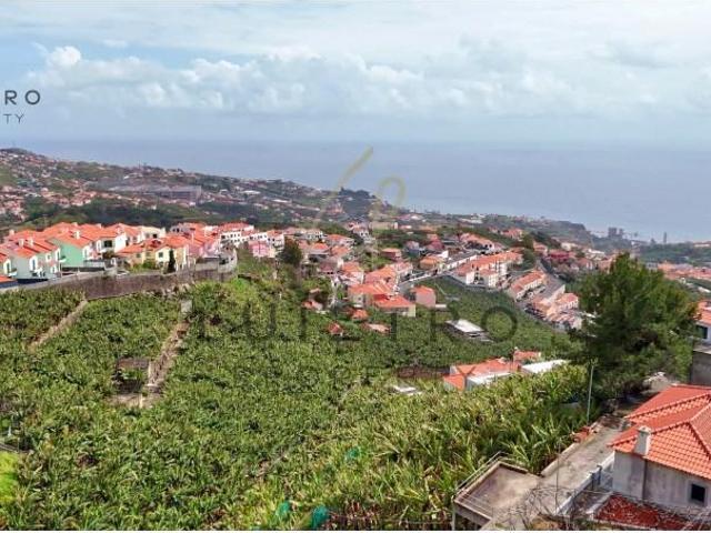 Câmara de Lobos Câmara de Lobos 89769492