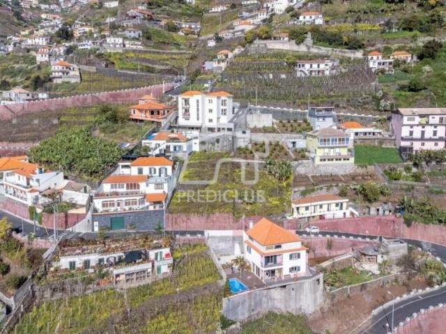 Câmara de Lobos Ilha da Madeira LS86681252