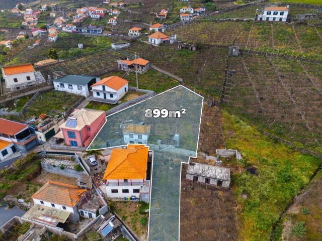 Câmara de Lobos Ilha da Madeira 104471723
