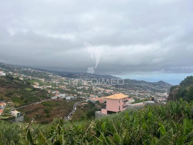Câmara de Lobos Ilha da Madeira 104823906