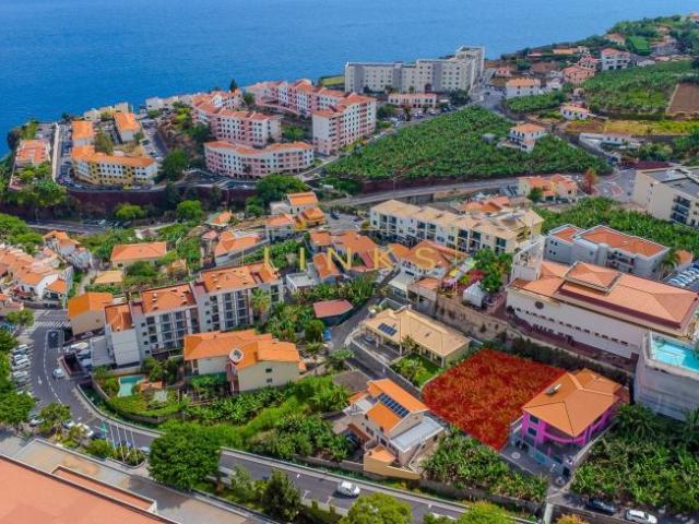 Câmara de Lobos Ilha da Madeira 104826529