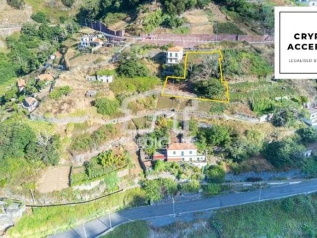 Câmara de Lobos Ilha da Madeira 86681105