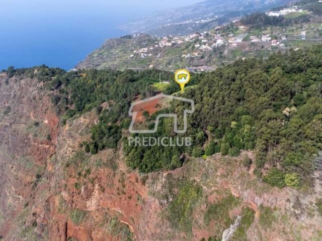 Câmara de Lobos Ilha da Madeira 86681401