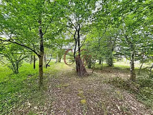 Camblanes et Meynac 33360 Achat / Vente terrain