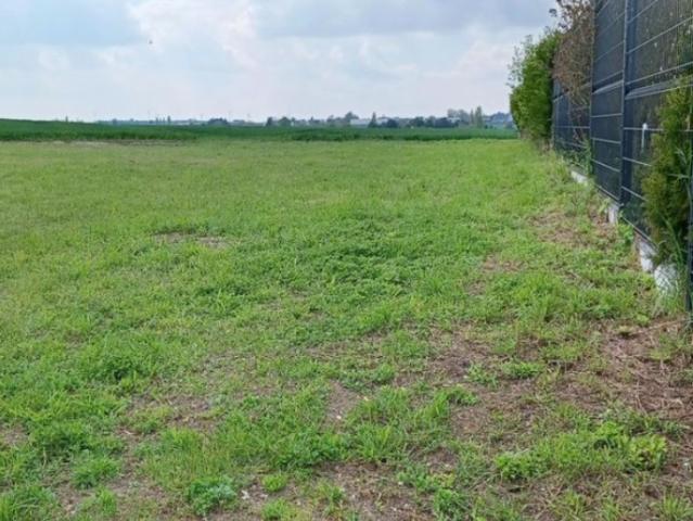 Cambrai Vente Terrain 59