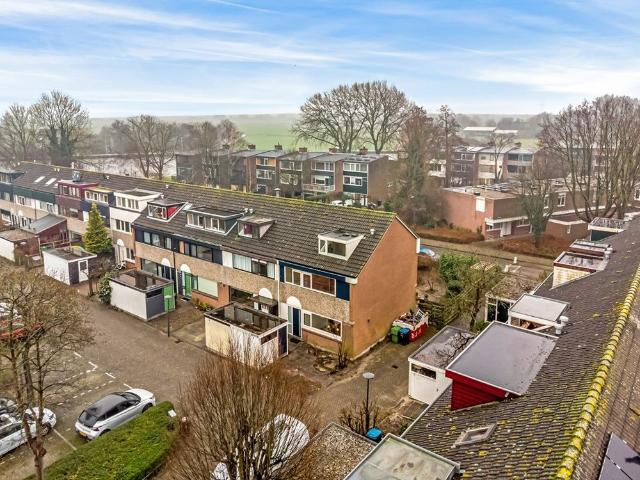 Cameliadal, 1, 2317HJ, Leiden, Zuid Holland 2317HJ