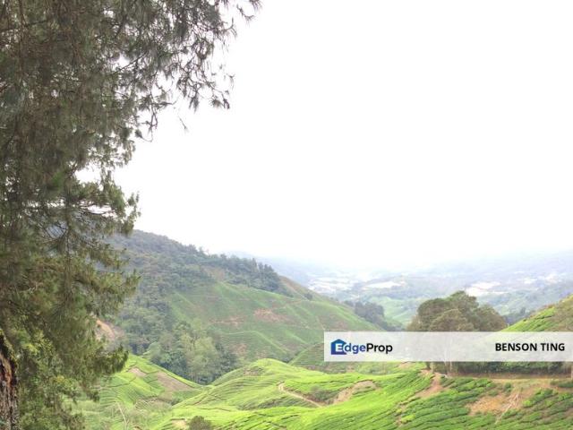 Cameron Highlands Agricultural Land For