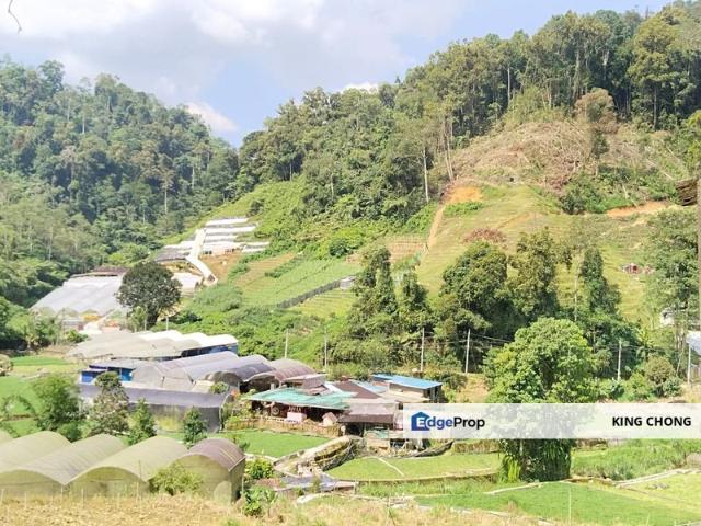 Cameron Highlands Agriculture Land